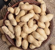 تصویر 1 از بهترین بادام هندی + قیمت خرید عالی